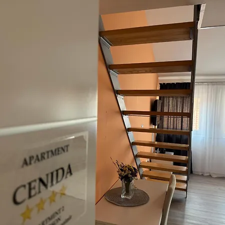 Downtown Apartament *