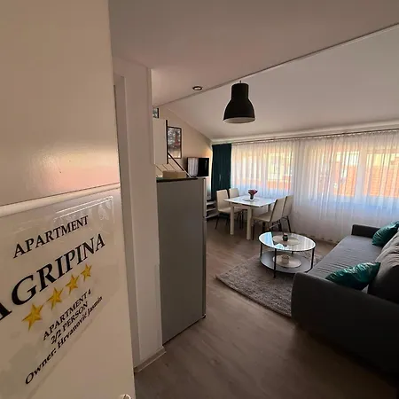 Apartment Downtown